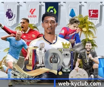 web-kyclub.com APP